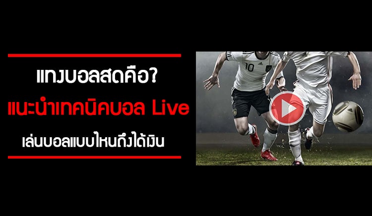 แทงบอล LIVE