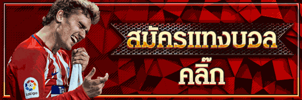 แทงบอลผ่านมือถือ